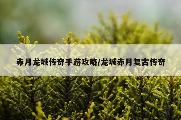 赤月龙城传奇手游攻略/龙城赤月复古传奇