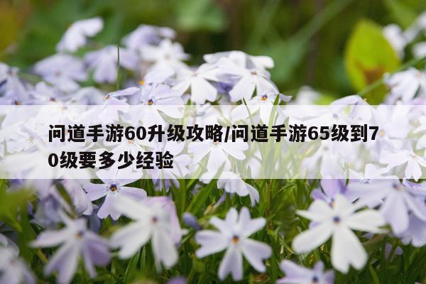 问道手游60升级攻略/问道手游65级到70级要多少经验