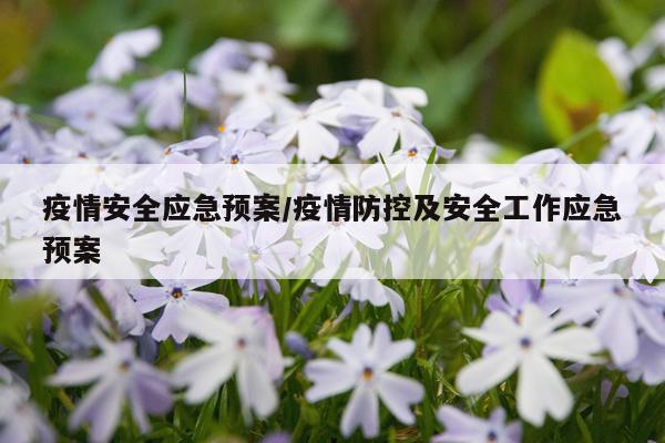 疫情安全应急预案/疫情防控及安全工作应急预案