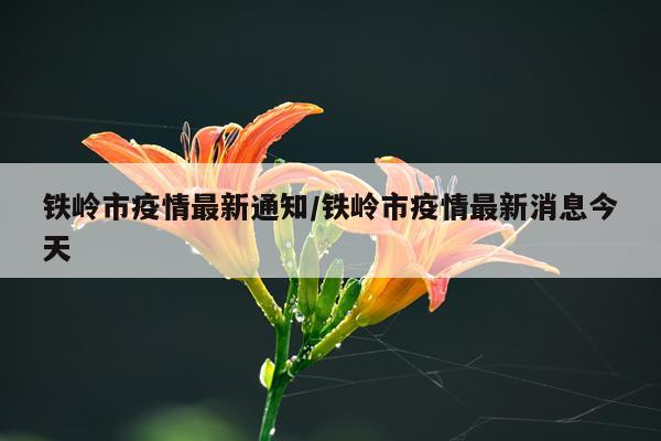 铁岭市疫情最新通知/铁岭市疫情最新消息今天