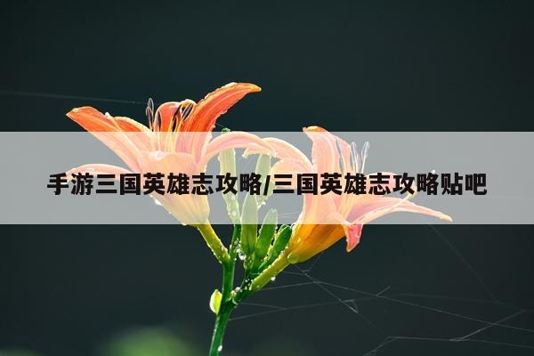 手游三国英雄志攻略/三国英雄志攻略贴吧