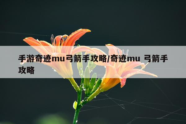 手游奇迹mu弓箭手攻略/奇迹mu 弓箭手攻略