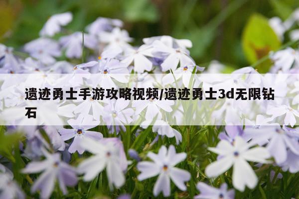遗迹勇士手游攻略视频/遗迹勇士3d无限钻石