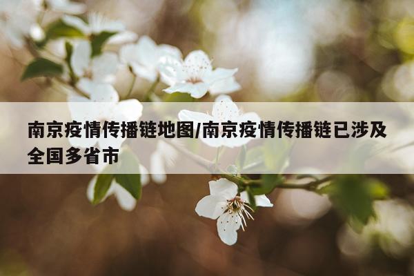 南京疫情传播链地图/南京疫情传播链已涉及全国多省市