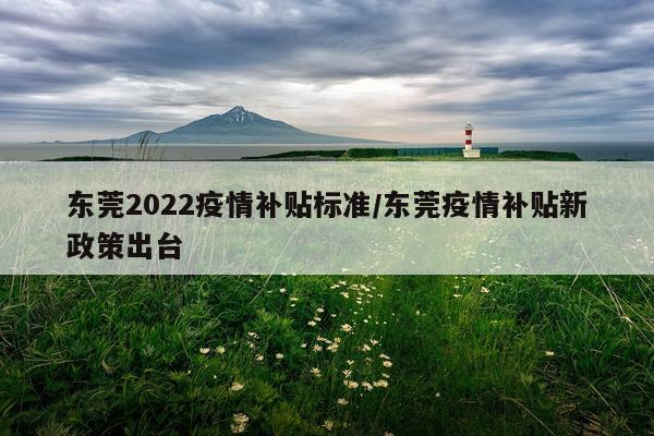 东莞2022疫情补贴标准/东莞疫情补贴新政策出台