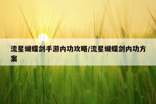 流星蝴蝶剑手游内功攻略/流星蝴蝶剑内功方案