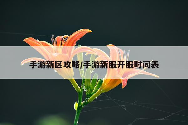 手游新区攻略/手游新服开服时间表