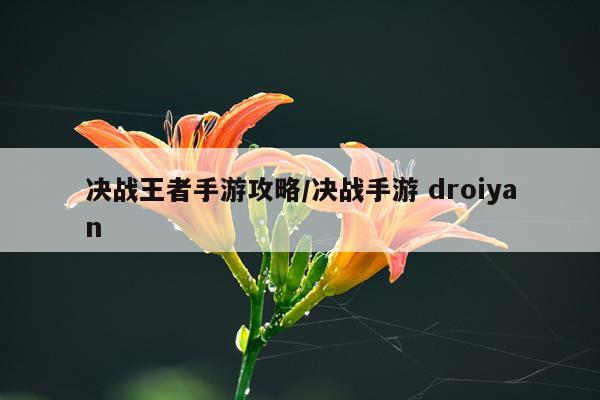 决战王者手游攻略/决战手游 droiyan