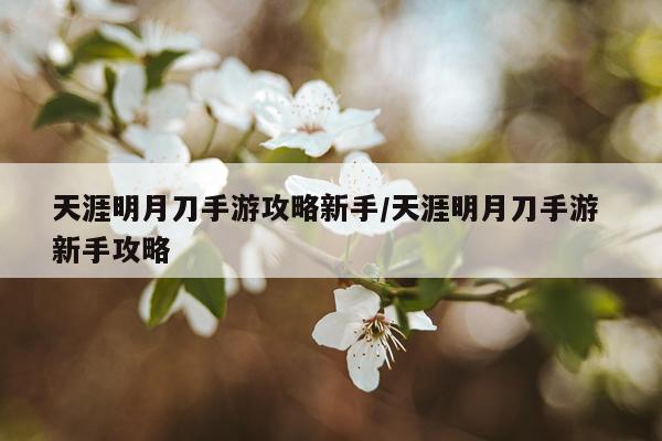 天涯明月刀手游攻略新手/天涯明月刀手游 新手攻略