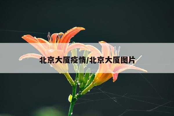 北京大厦疫情/北京大厦图片