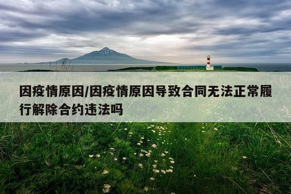 因疫情原因/因疫情原因导致合同无法正常履行解除合约违法吗