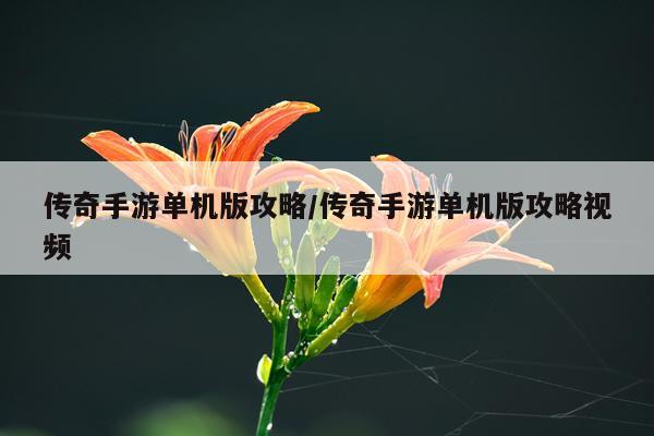 传奇手游单机版攻略/传奇手游单机版攻略视频