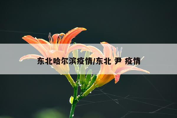 东北哈尔滨疫情/东北 尹 疫情