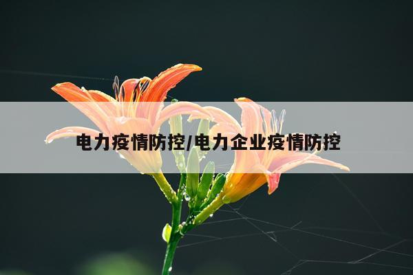 电力疫情防控/电力企业疫情防控