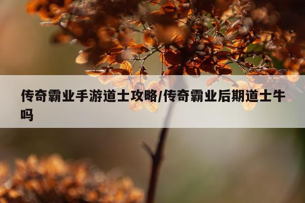 传奇霸业手游道士攻略/传奇霸业后期道士牛吗