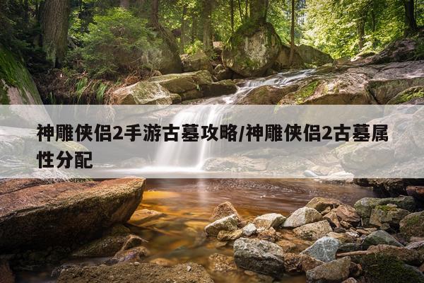 神雕侠侣2手游古墓攻略/神雕侠侣2古墓属性分配