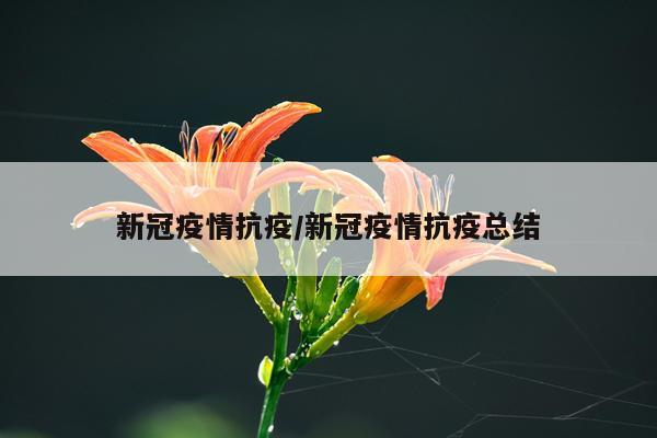 新冠疫情抗疫/新冠疫情抗疫总结