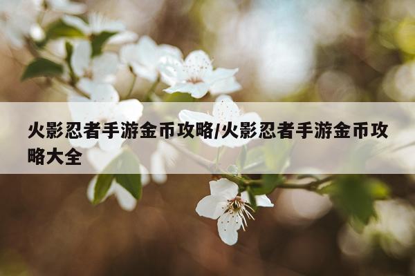 火影忍者手游金币攻略/火影忍者手游金币攻略大全