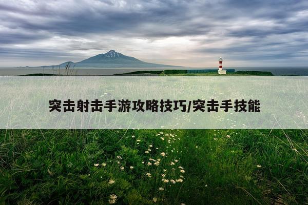 突击射击手游攻略技巧/突击手技能