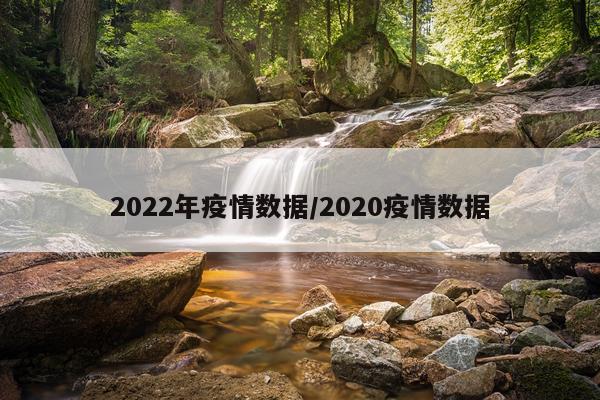 2022年疫情数据/2020疫情数据