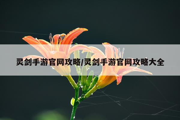 灵剑手游官网攻略/灵剑手游官网攻略大全