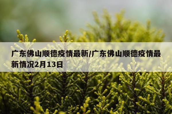 广东佛山顺德疫情最新/广东佛山顺德疫情最新情况2月13日