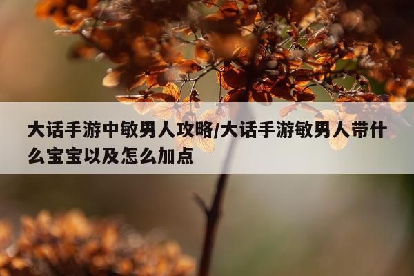 大话手游中敏男人攻略/大话手游敏男人带什么宝宝以及怎么加点
