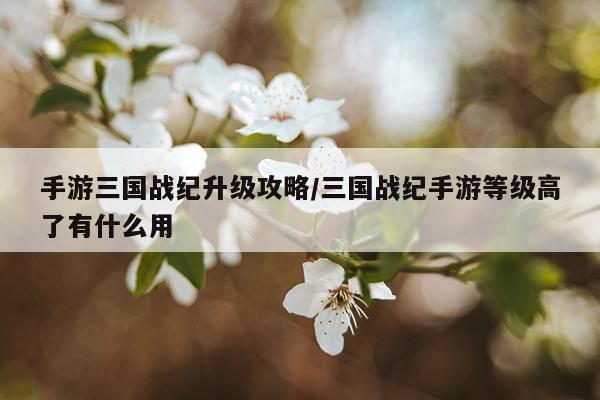 手游三国战纪升级攻略/三国战纪手游等级高了有什么用