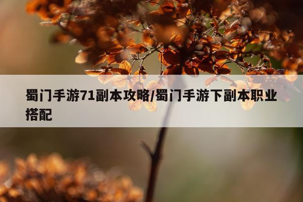 蜀门手游71副本攻略/蜀门手游下副本职业搭配