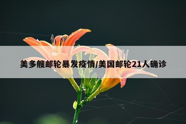 美多艘邮轮暴发疫情/美国邮轮21人确诊