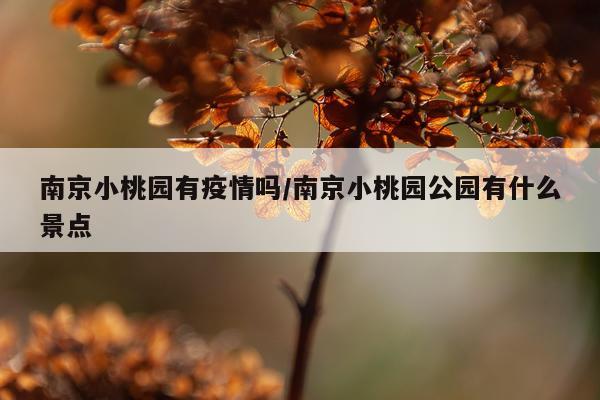 南京小桃园有疫情吗/南京小桃园公园有什么景点