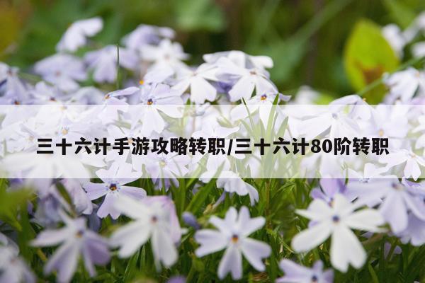三十六计手游攻略转职/三十六计80阶转职
