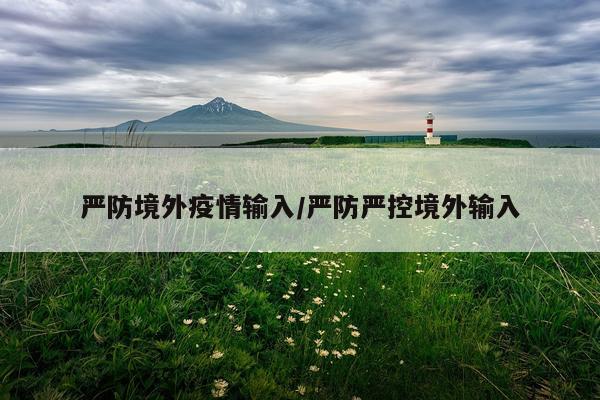 严防境外疫情输入/严防严控境外输入