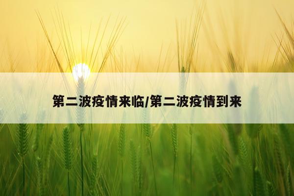第二波疫情来临/第二波疫情到来