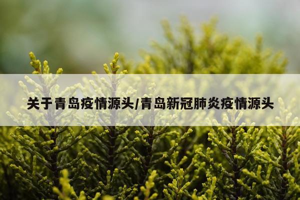 关于青岛疫情源头/青岛新冠肺炎疫情源头