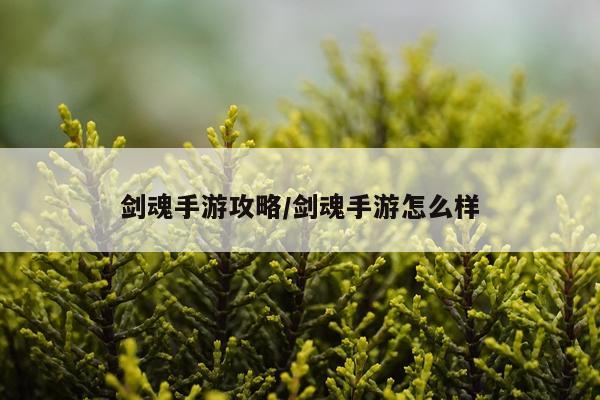 剑魂手游攻略/剑魂手游怎么样