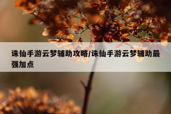 诛仙手游云梦辅助攻略/诛仙手游云梦辅助最强加点