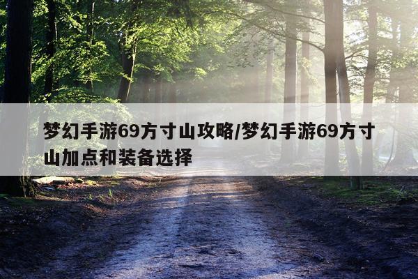 梦幻手游69方寸山攻略/梦幻手游69方寸山加点和装备选择