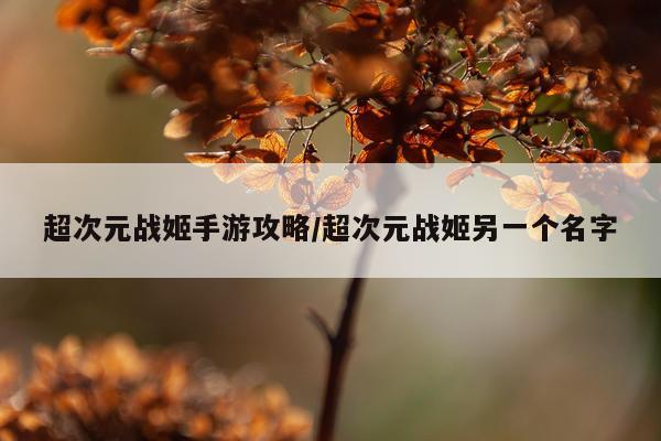 超次元战姬手游攻略/超次元战姬另一个名字