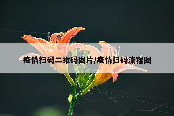 疫情扫码二维码图片/疫情扫码流程图