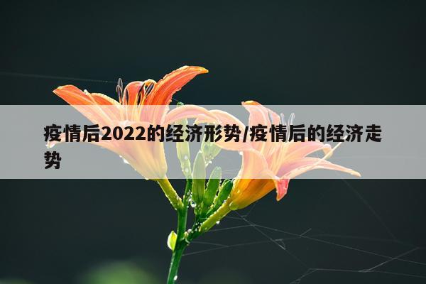 疫情后2022的经济形势/疫情后的经济走势