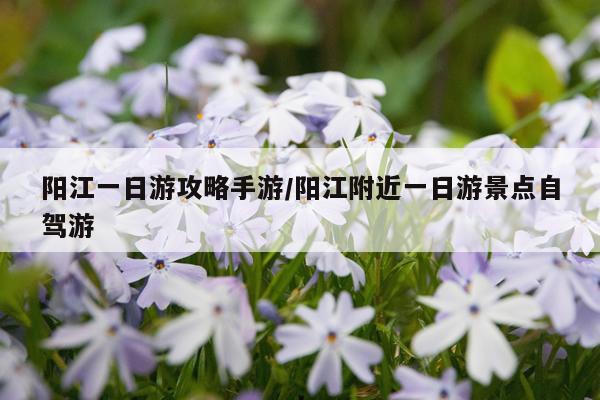 阳江一日游攻略手游/阳江附近一日游景点自驾游