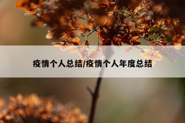 疫情个人总结/疫情个人年度总结