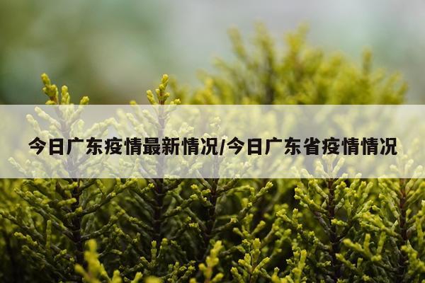 今日广东疫情最新情况/今日广东省疫情情况