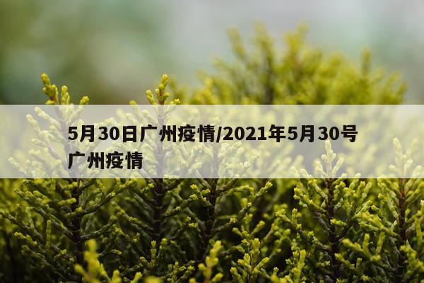5月30日广州疫情/2021年5月30号广州疫情