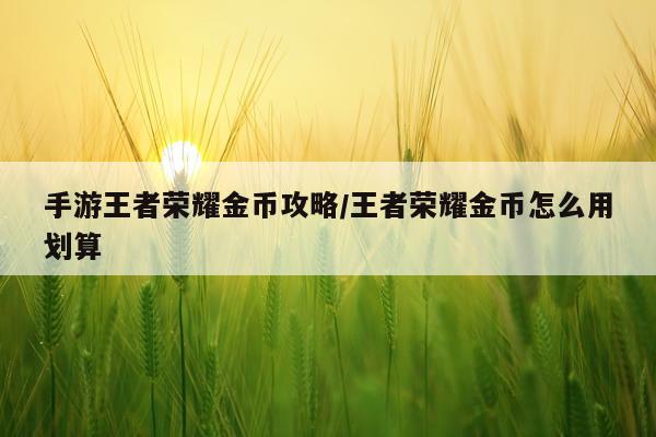 手游王者荣耀金币攻略/王者荣耀金币怎么用划算