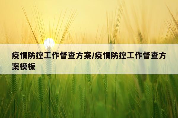 疫情防控工作督查方案/疫情防控工作督查方案模板