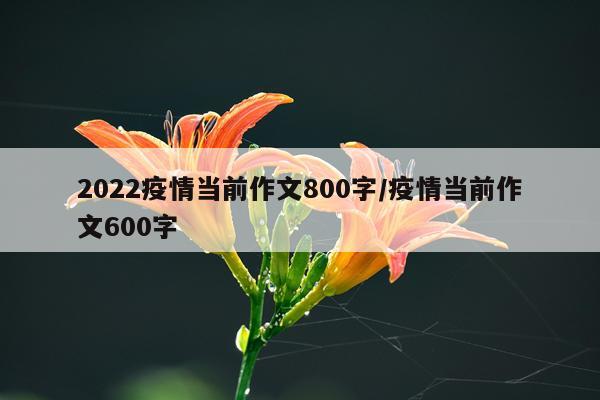 2022疫情当前作文800字/疫情当前作文600字