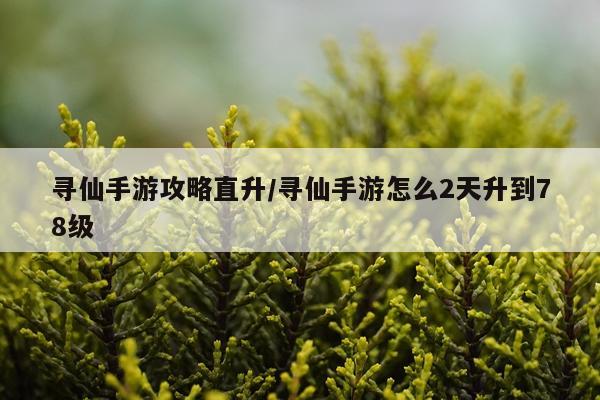 寻仙手游攻略直升/寻仙手游怎么2天升到78级