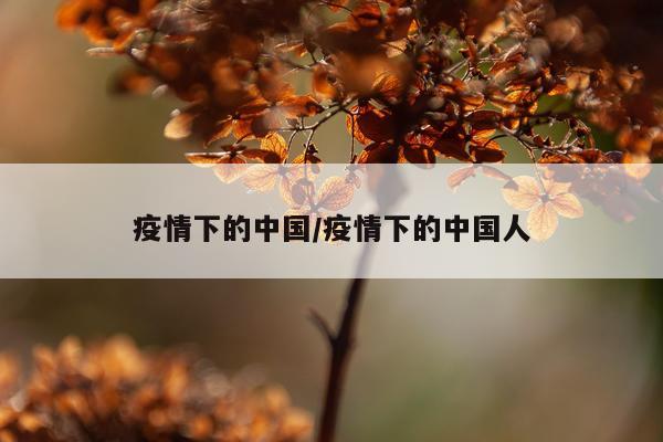 疫情下的中国/疫情下的中国人